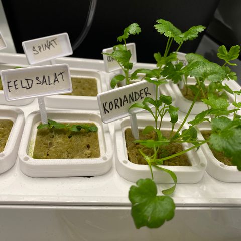 RDWC growlog timeline photo