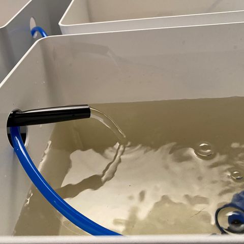 RDWC growlog timeline photo