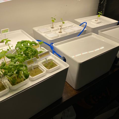 RDWC growlog timeline photo