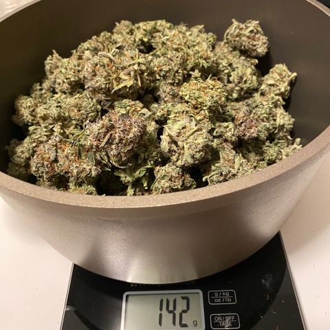 Green Gelato (Air-Pot) growlog timeline photo