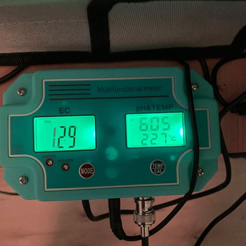 Chocolate Haze  growlog timeline photo
