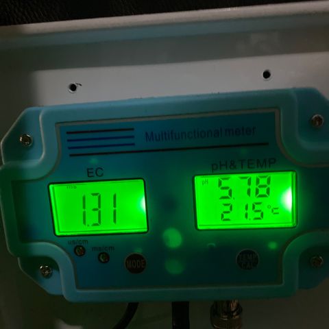 Chocolate Haze  growlog timeline photo