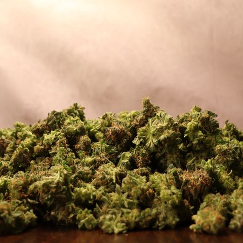 Chocolate Haze  growlog timeline photo