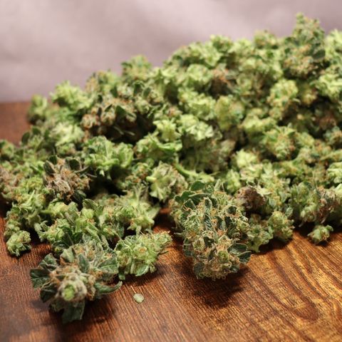 Chocolate Haze  growlog timeline photo