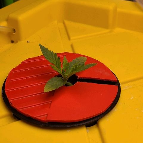 Snoopy growlog timeline photo