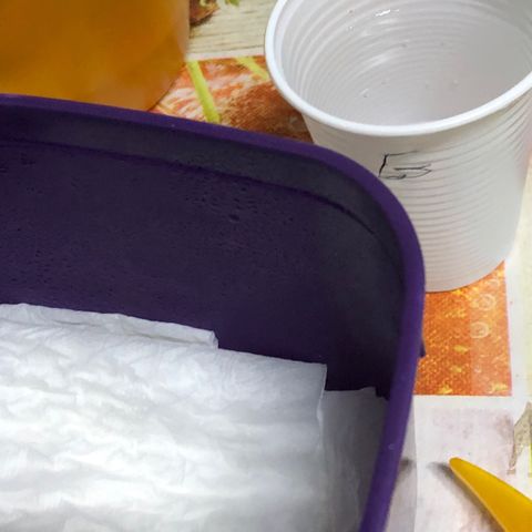 Gorilla Kush - Planta 1 growlog photo: Gorilla Kush já está me dando esperança de ótimo fenótipo kkkk