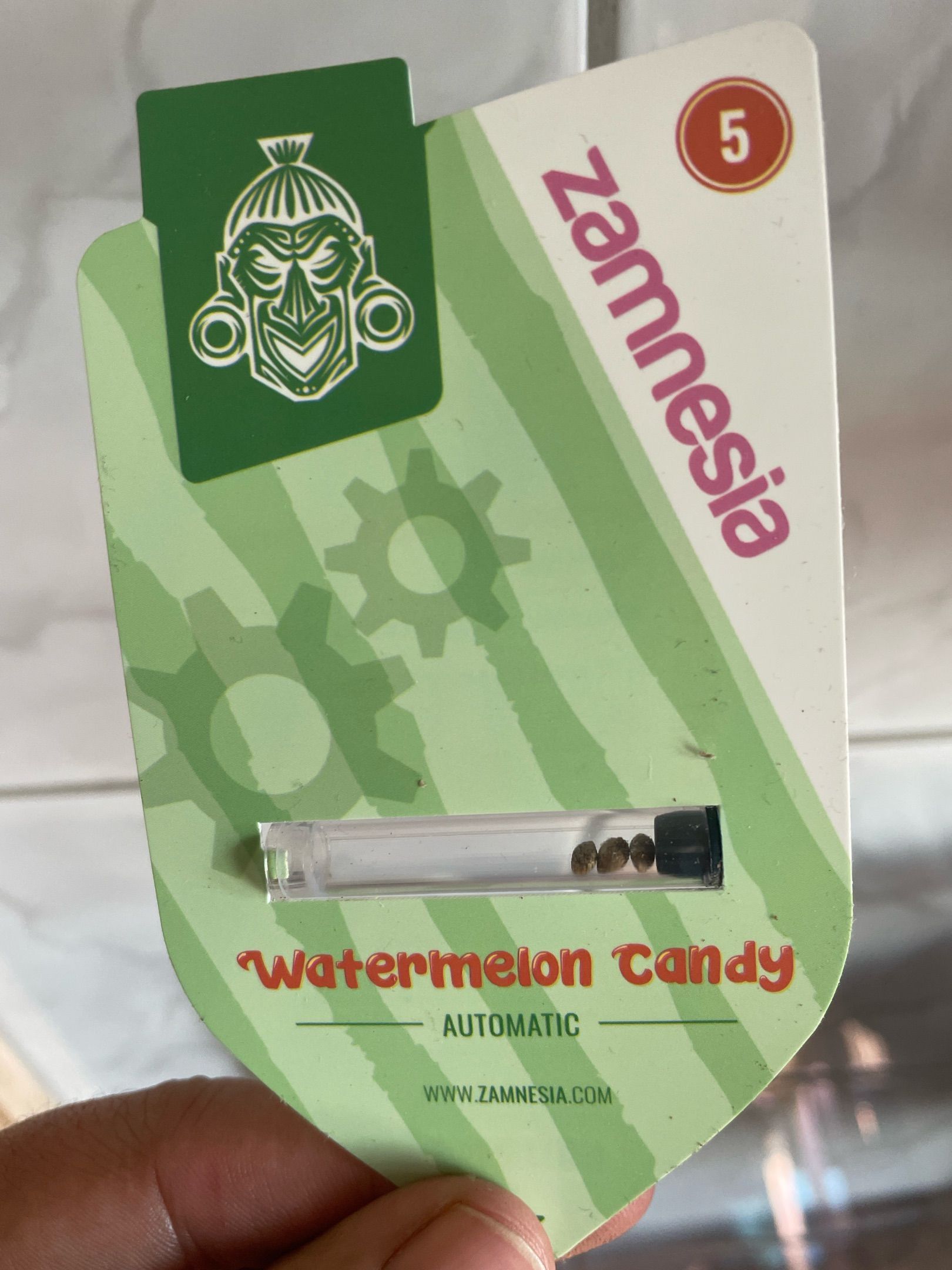 Watermelon Candy Automatic growlog header