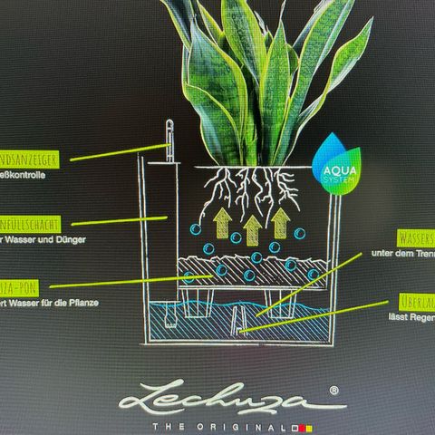 Pink Rozay Automatic growlog timeline photo