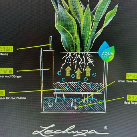 Watermelon Candy Automatic growlog timeline photo