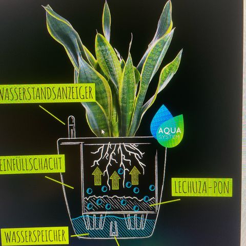 StrawZ Automatic growlog photo