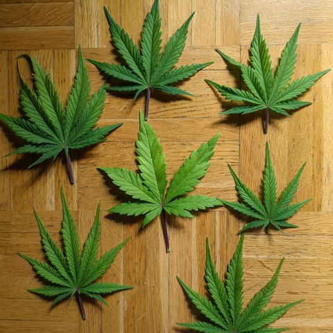 Wedding Cake growlog timeline photo