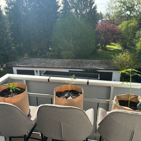 44 Northern Light Auto growlog timeline photo