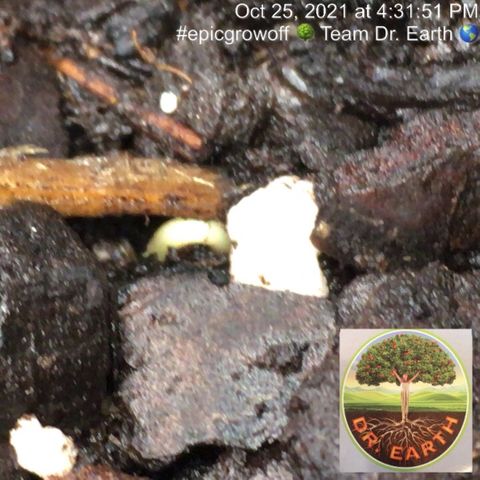 #epicgrowoff growlog timeline photo