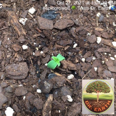 #epicgrowoff growlog timeline photo