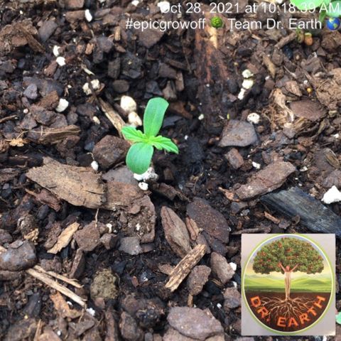 #epicgrowoff growlog timeline photo
