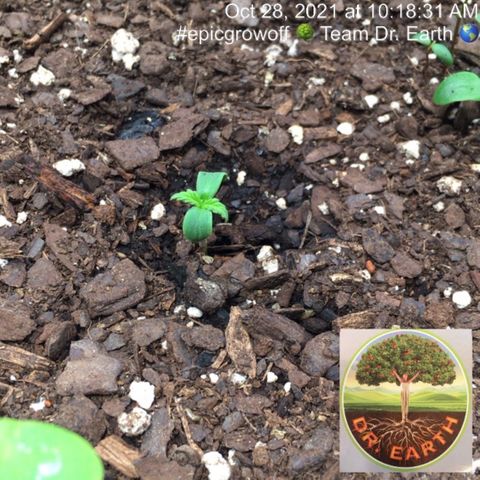 #epicgrowoff growlog timeline photo