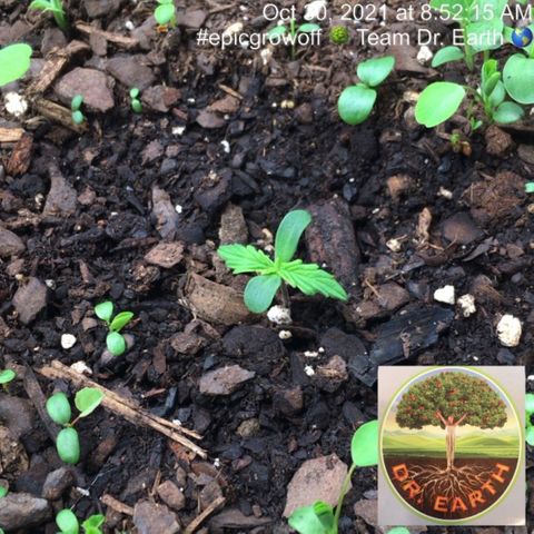 #epicgrowoff growlog timeline photo