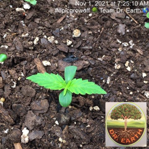 #epicgrowoff growlog timeline photo