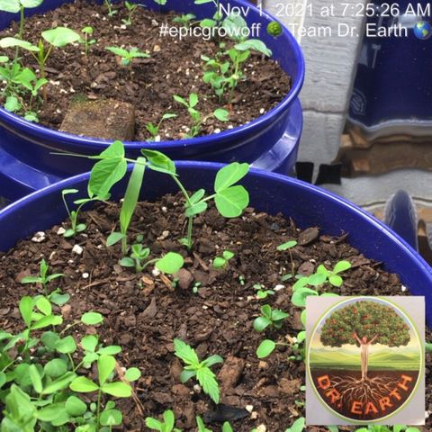 #epicgrowoff growlog timeline photo