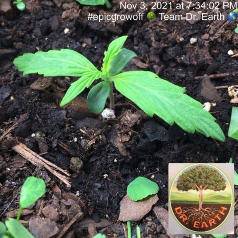 #epicgrowoff growlog timeline photo