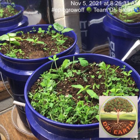 #epicgrowoff growlog timeline photo