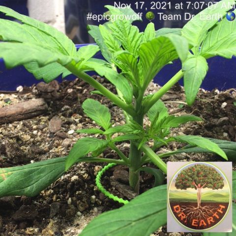 #epicgrowoff growlog timeline photo