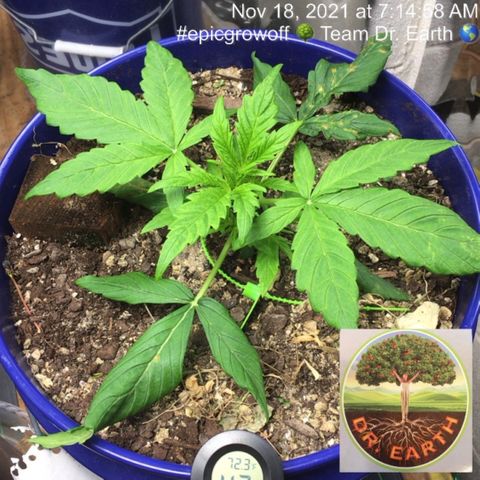 #epicgrowoff growlog timeline photo