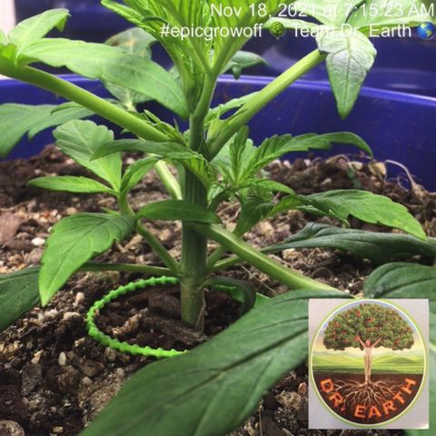 #epicgrowoff growlog timeline photo