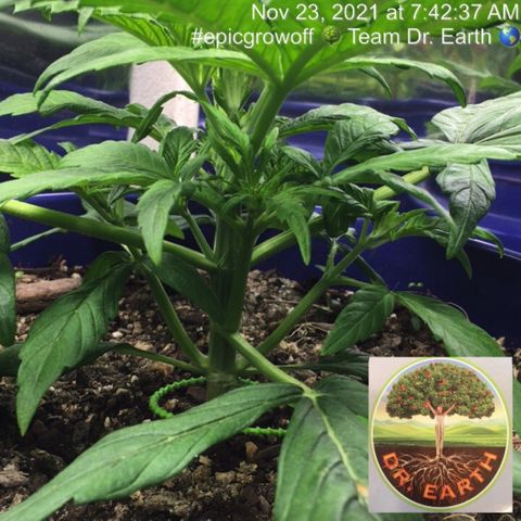 #epicgrowoff growlog timeline photo