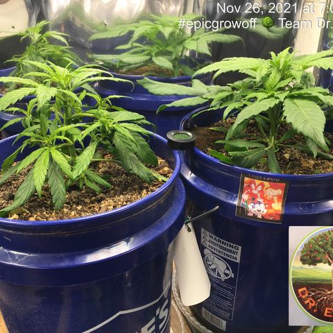 #epicgrowoff growlog timeline photo
