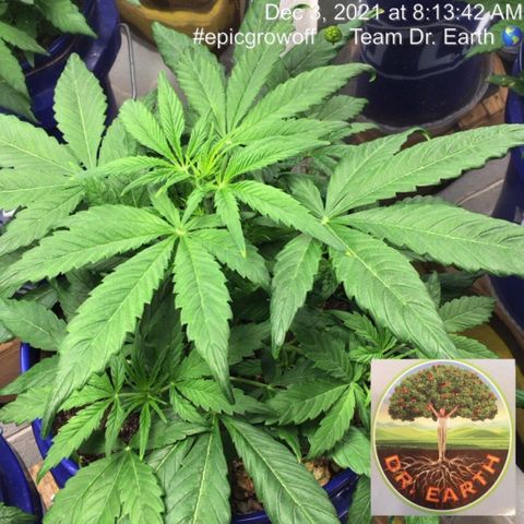 #epicgrowoff growlog timeline photo