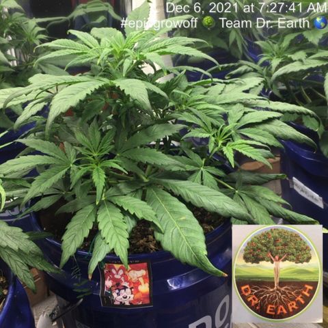 #epicgrowoff growlog timeline photo
