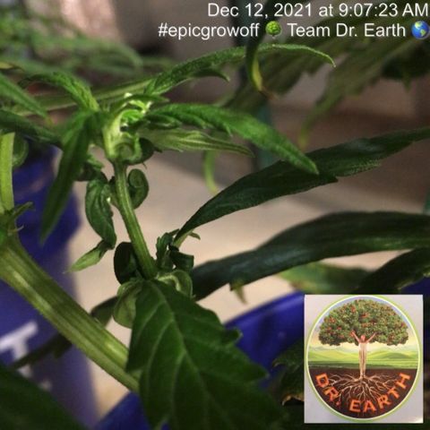 #epicgrowoff growlog timeline photo