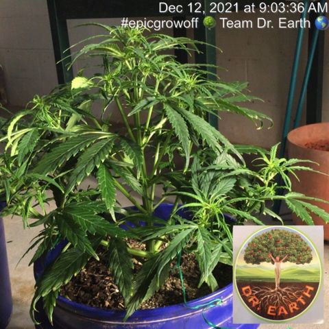 #epicgrowoff growlog timeline photo