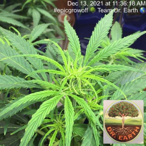 #epicgrowoff growlog timeline photo