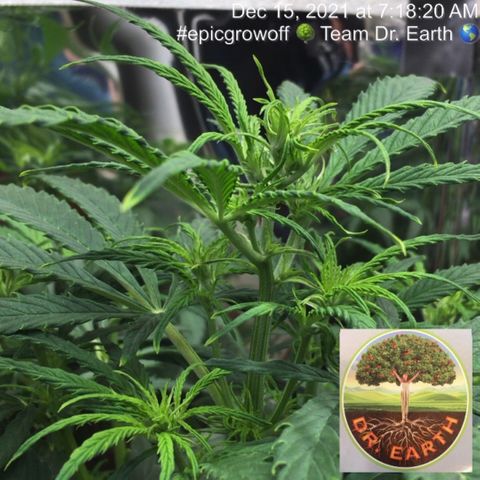 #epicgrowoff growlog timeline photo