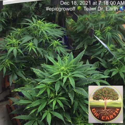 #epicgrowoff growlog timeline photo
