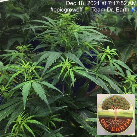 #epicgrowoff growlog timeline photo