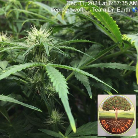 #epicgrowoff growlog timeline photo