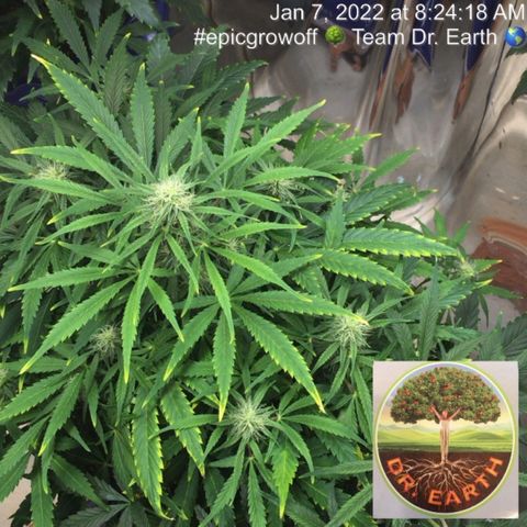 #epicgrowoff growlog timeline photo
