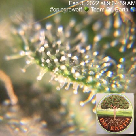 #epicgrowoff growlog timeline photo