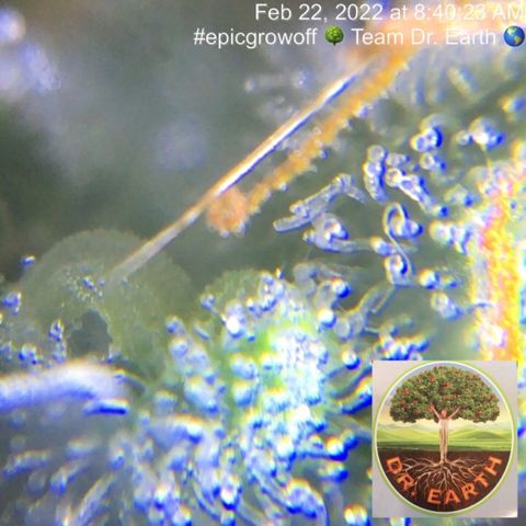 #epicgrowoff growlog timeline photo