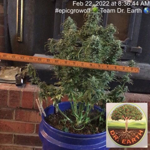 #epicgrowoff growlog timeline photo