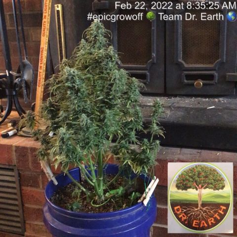 #epicgrowoff growlog timeline photo
