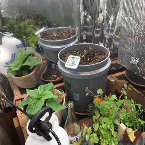 #epicgrowoff growlog timeline photo