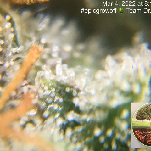 #epicgrowoff growlog timeline photo