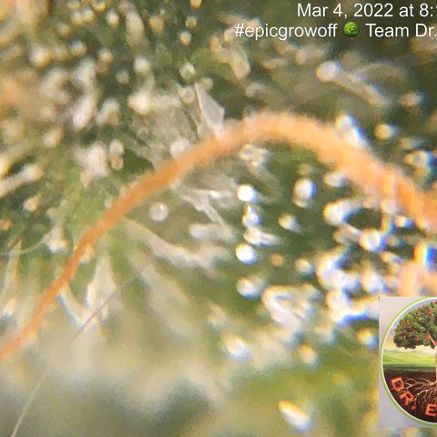 #epicgrowoff growlog timeline photo