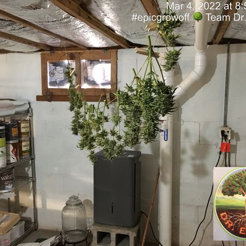 #epicgrowoff growlog timeline photo