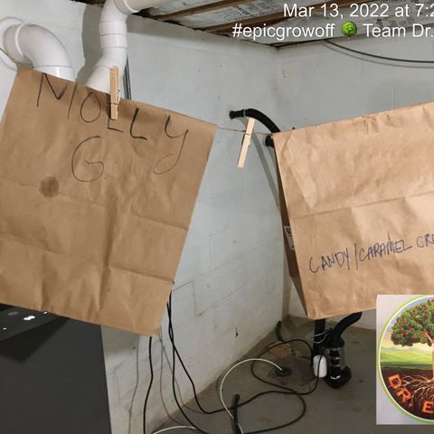 #epicgrowoff growlog timeline photo