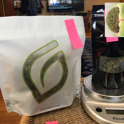#epicgrowoff growlog timeline photo